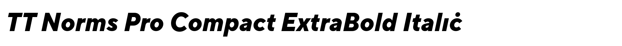 TT Norms Pro Compact ExtraBold Italic image